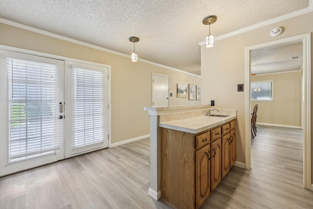 kitchen featuring brown cabinetry, ornamental molding, a textured ceiling, a sink, and light wood-style flooring