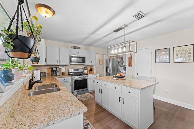 300 Aspenwood Trl, Forney, TX 75126 - kitchen featuring a sink, appliances with stainless steel finishes, dark wood-type flooring, and visible vents