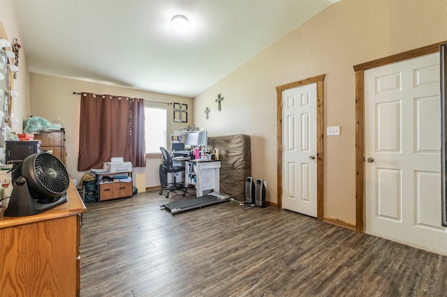 office featuring vaulted ceiling and wood finished floors