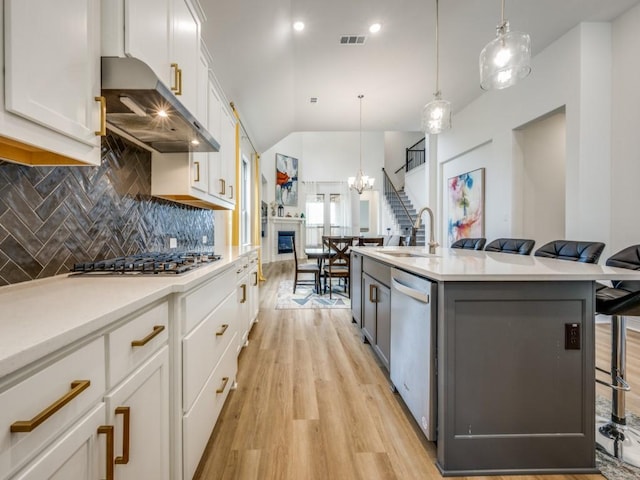 2513 Silver Leaf Dr, Northlake, TX 76226 - kitchen with appliances with stainless steel finishes, tasteful backsplash, light wood-type flooring, a sink, and ventilation hood