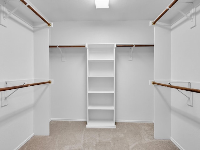 walk in closet featuring carpet