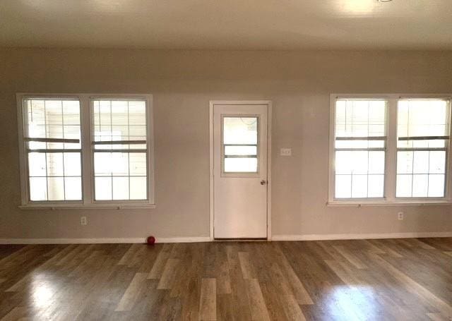 interior space featuring baseboards, a healthy amount of sunlight, and wood finished floors