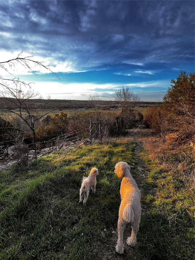 1990 Horsemans Dr, Stephenville, TX 76401