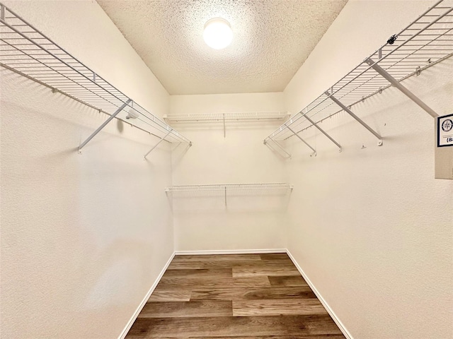 walk in closet featuring wood finished floors