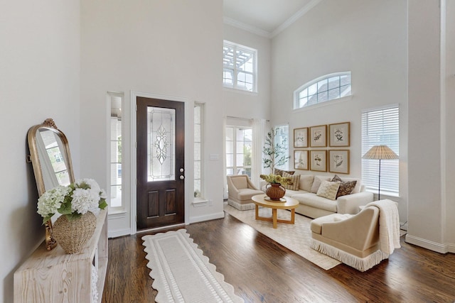 foyer featuring baseboards, ornamental molding, a towering ceiling, and dark wood-style floors