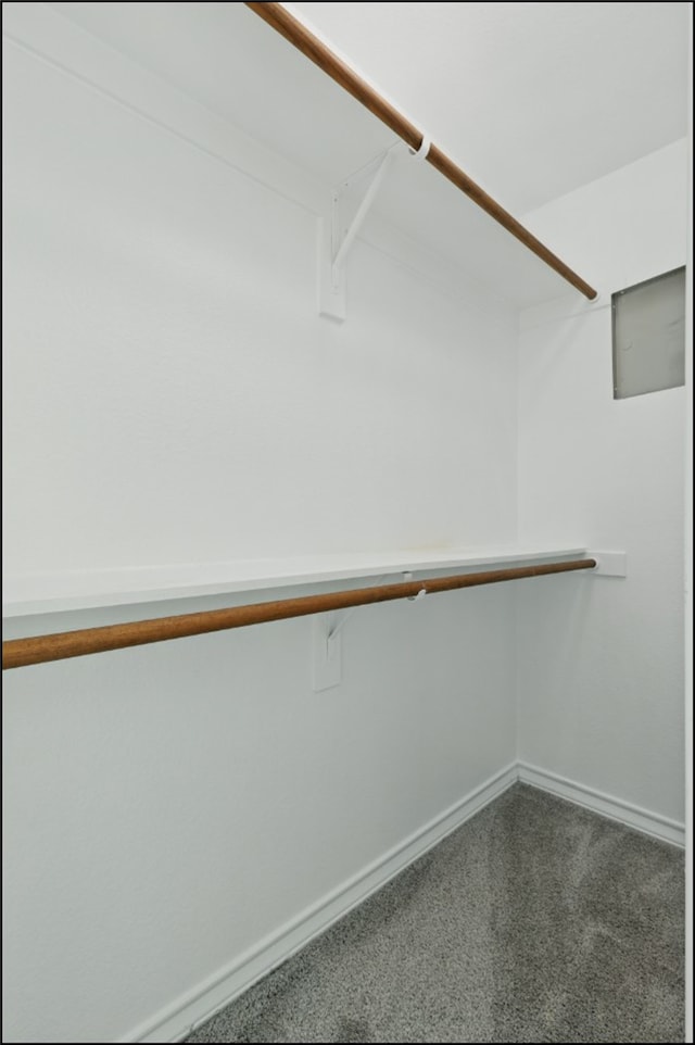 spacious closet with carpet flooring