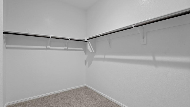 spacious closet with carpet