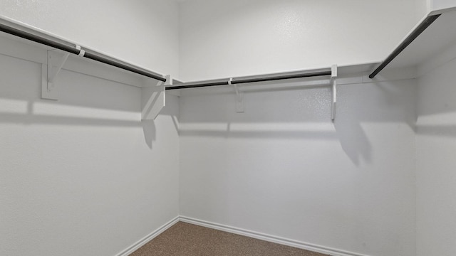 walk in closet with dark carpet