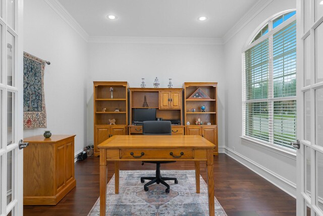 2131 Channel Islands Dr, Allen, TX 75013 - office featuring crown molding, dark wood-style floors, and a healthy amount of sunlight