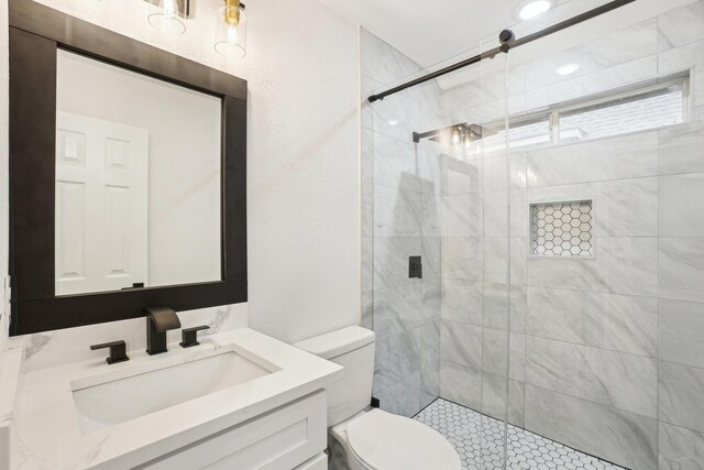 bathroom with vanity, toilet, and a stall shower