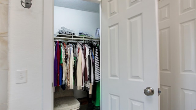 view of walk in closet