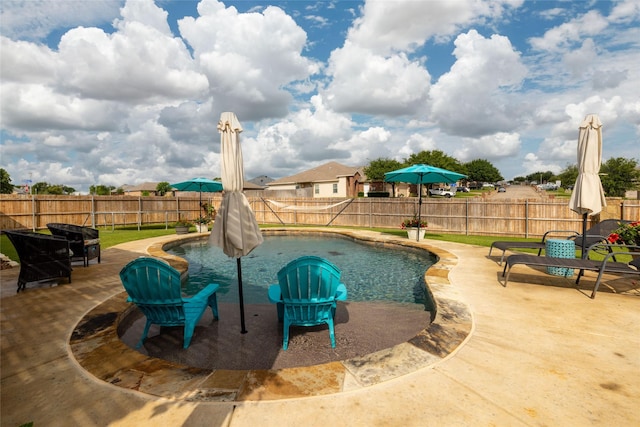 view of pool with a fenced in pool, a fenced backyard, and a patio area