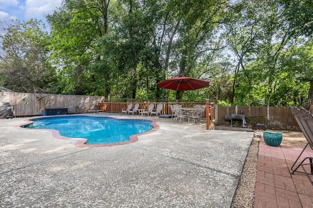 view of swimming pool with a fenced backyard and a patio area