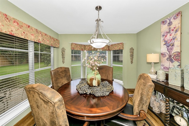 dining space with a healthy amount of sunlight