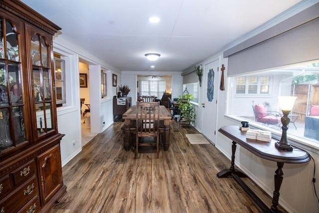 dining area featuring dark wood-type flooring