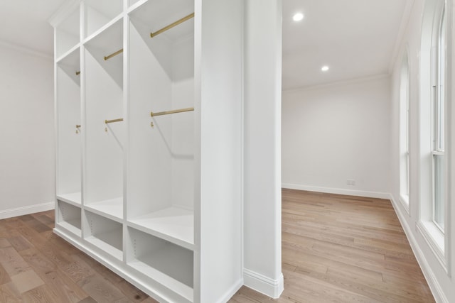 interior space with wood finished floors