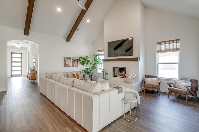 living room featuring high vaulted ceiling, wood finished floors, a healthy amount of sunlight, and a fireplace