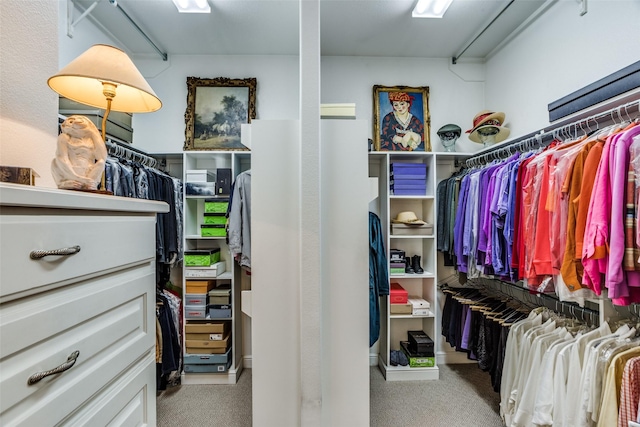 spacious closet featuring carpet floors