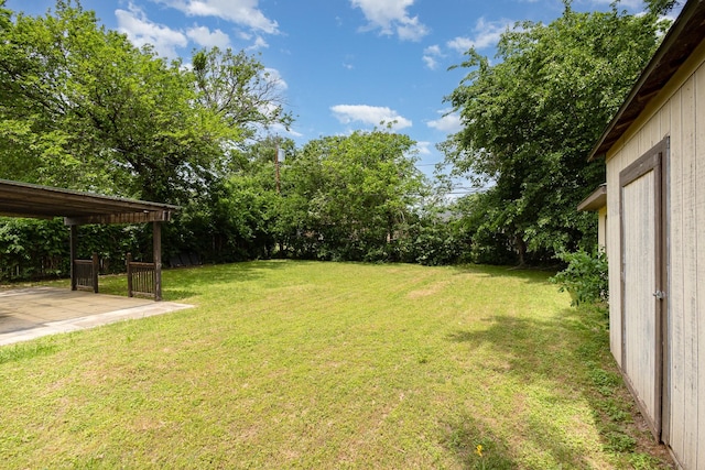 view of yard featuring a patio area