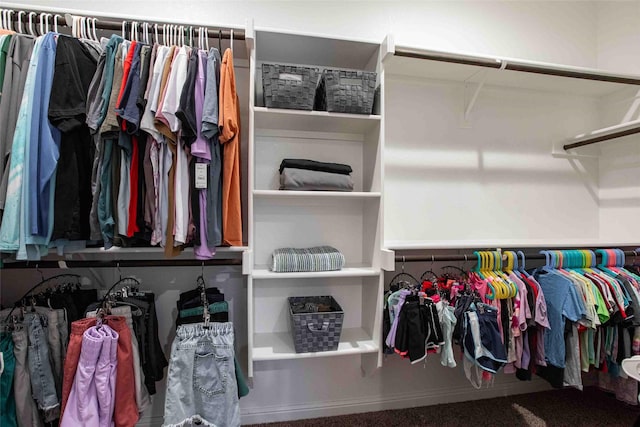 view of spacious closet