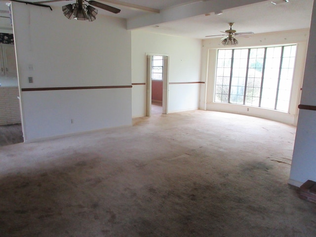 unfurnished room with carpet, a ceiling fan, and beam ceiling