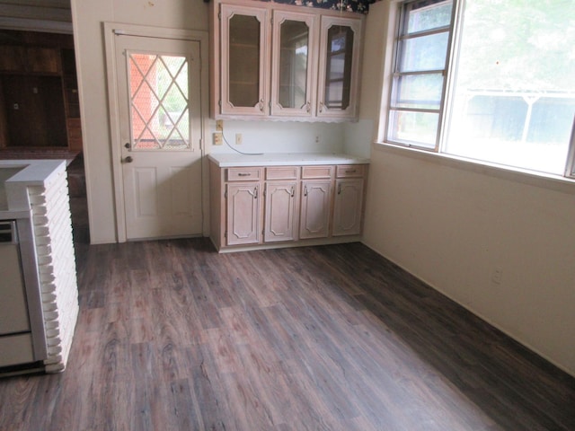 kitchen with glass insert cabinets, light countertops, and dark wood-type flooring