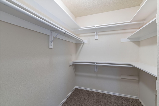 401 Mara Ln, Red Oak, TX 75154 - spacious closet featuring carpet flooring