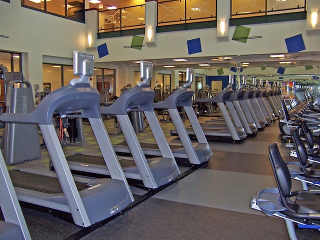 exercise room with a towering ceiling