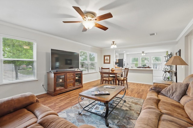 living room featuring crown molding, a ceiling fan, light wood-style flooring, and visible vents