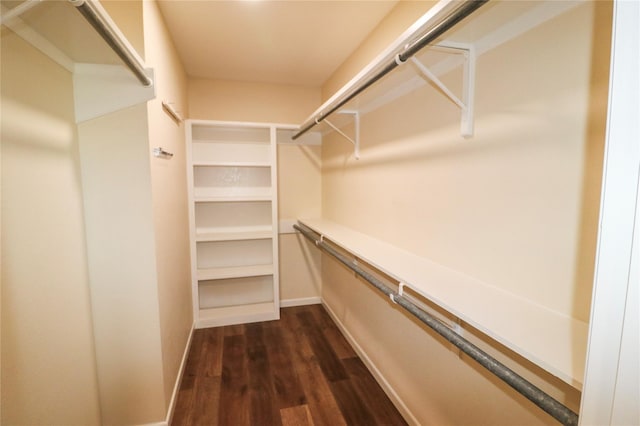 walk in closet with dark wood finished floors