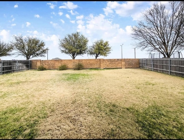view of yard with a fenced backyard