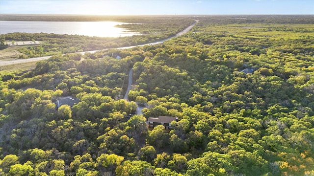 bird's eye view with a water view and a view of trees