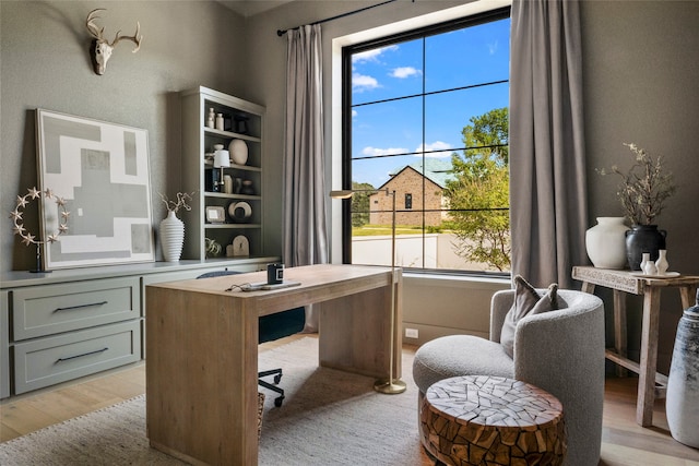 home office featuring light wood finished floors