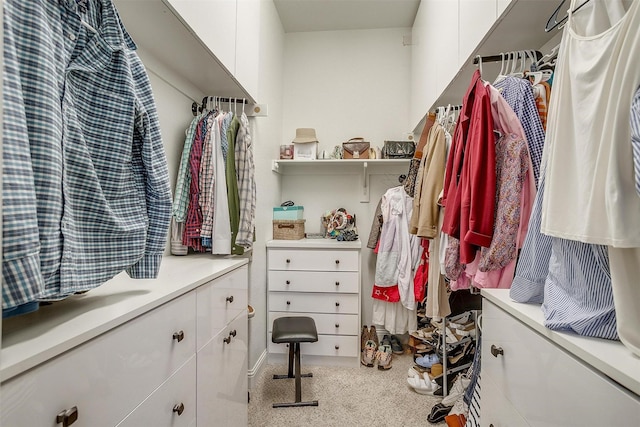 11948 Carlin Dr, Fort Worth, TX 76108 - view of walk in closet