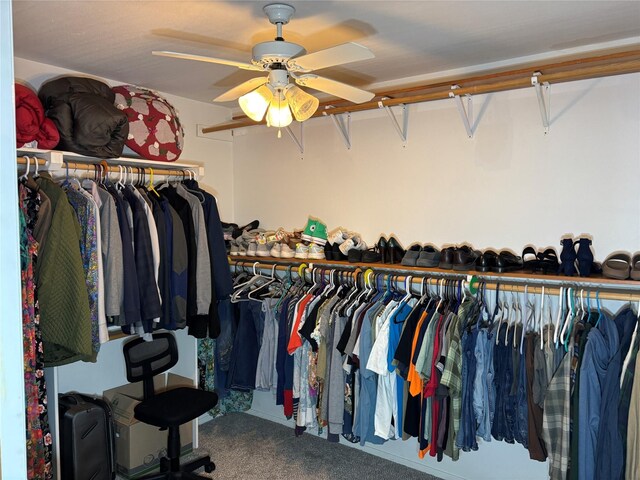 1207 W Cage St, Stephenville, TX 76401 - spacious closet featuring carpet flooring and a ceiling fan