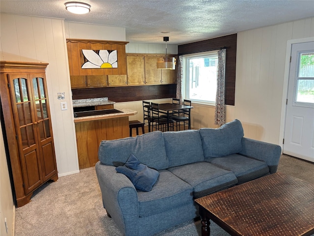 1207 W Cage St, Stephenville, TX 76401 - living room featuring a textured ceiling, light colored carpet, wood walls, and a healthy amount of sunlight