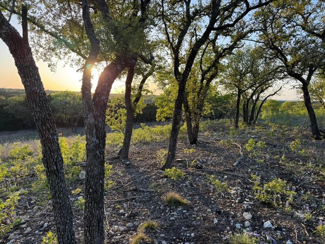 14435 Fm 182nd Hwy, No City, TX 76634