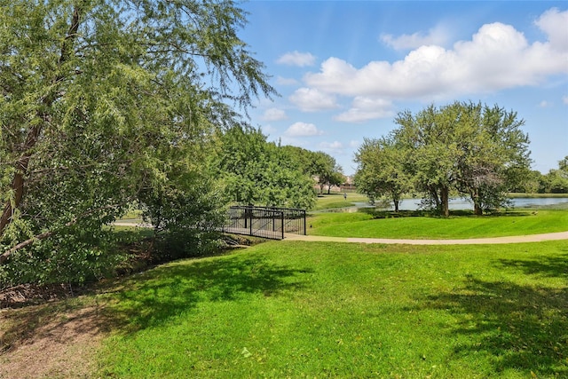 8208 Rock Elm Rd, Fort Worth, TX 76131 - surrounding community with a water view and a yard