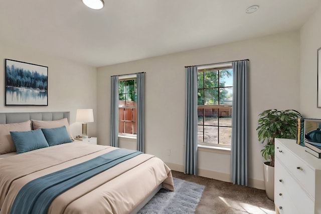 2188 Jordan Valley Dr, Dallas, TX 75253 - bedroom with carpet flooring and baseboards