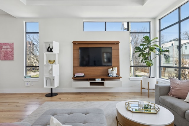 living room with baseboards and wood finished floors