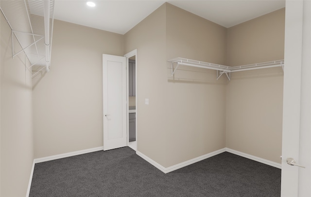 walk in closet featuring carpet floors