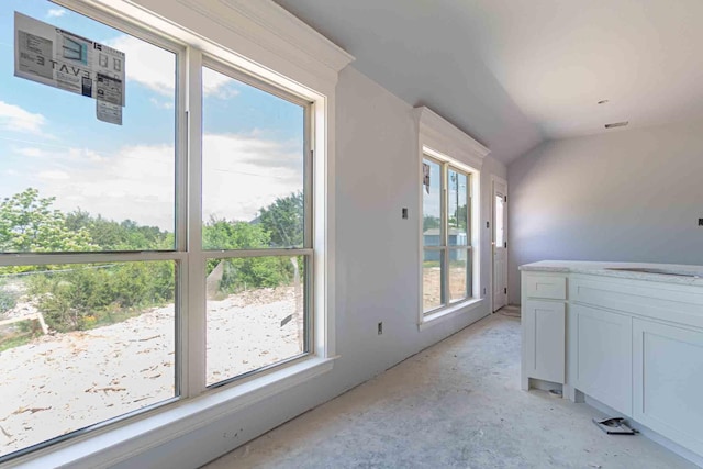 3406 Woodlake Dr, Granbury, TX 76048 - interior space with a sink, vaulted ceiling, and concrete flooring