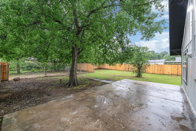 view of yard with a fenced backyard and a patio