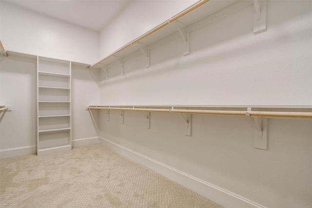 walk in closet featuring light colored carpet