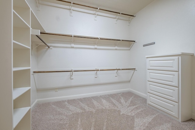 spacious closet featuring carpet flooring