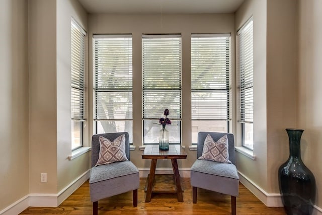 sitting room featuring baseboards, wood finished floors, and a wealth of natural light