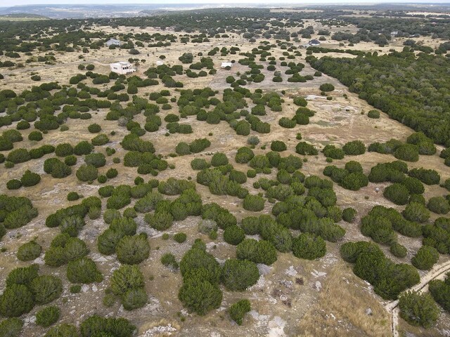 drone / aerial view with a rural view
