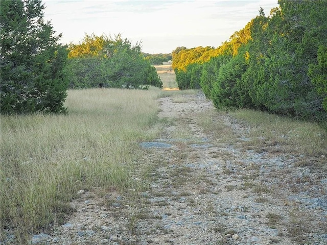 view of nature featuring a view of trees