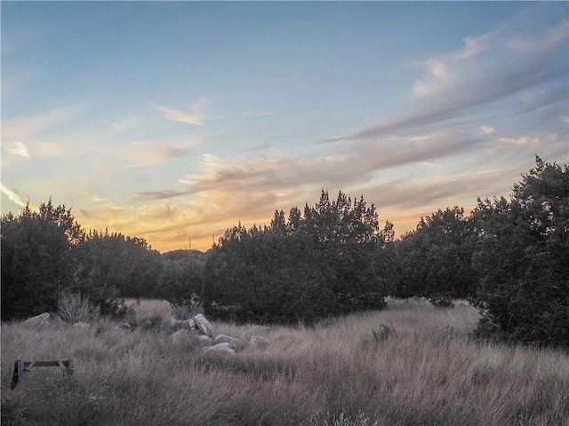view of nature