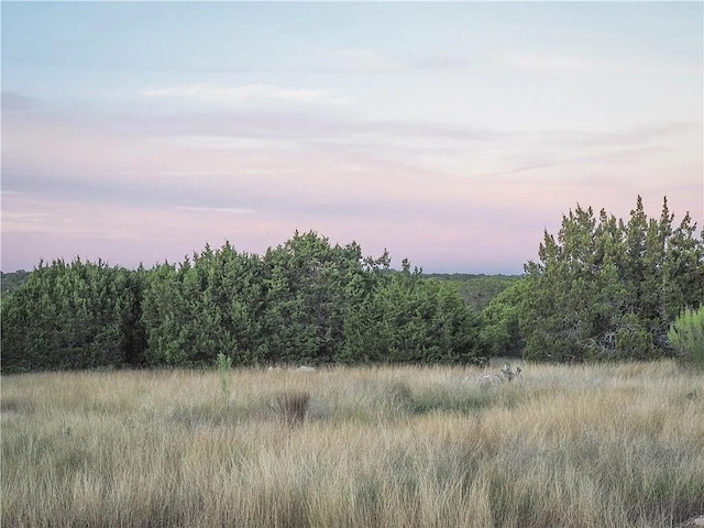 view of nature